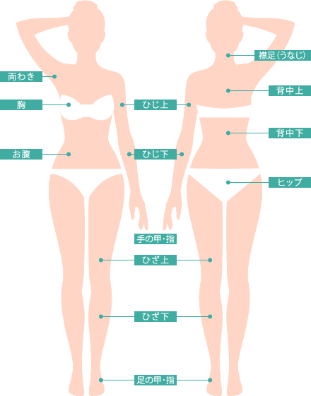 DMTC全身脱毛脱毛範囲