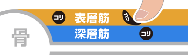 マッサージとドクターストレッチの違い