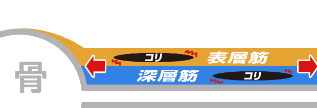 マッサージとドクターストレッチの違い2