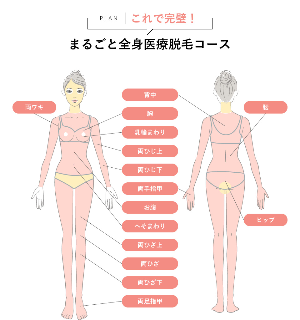 全身医療脱毛コース脱毛範囲