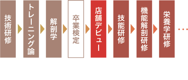 ドクターストレッチ店舗デビューまでの研修制度