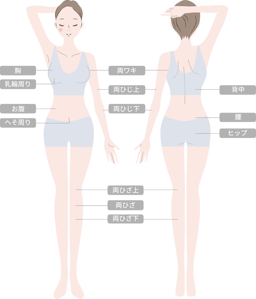 GBC式全身医療脱毛5回コース脱毛範囲