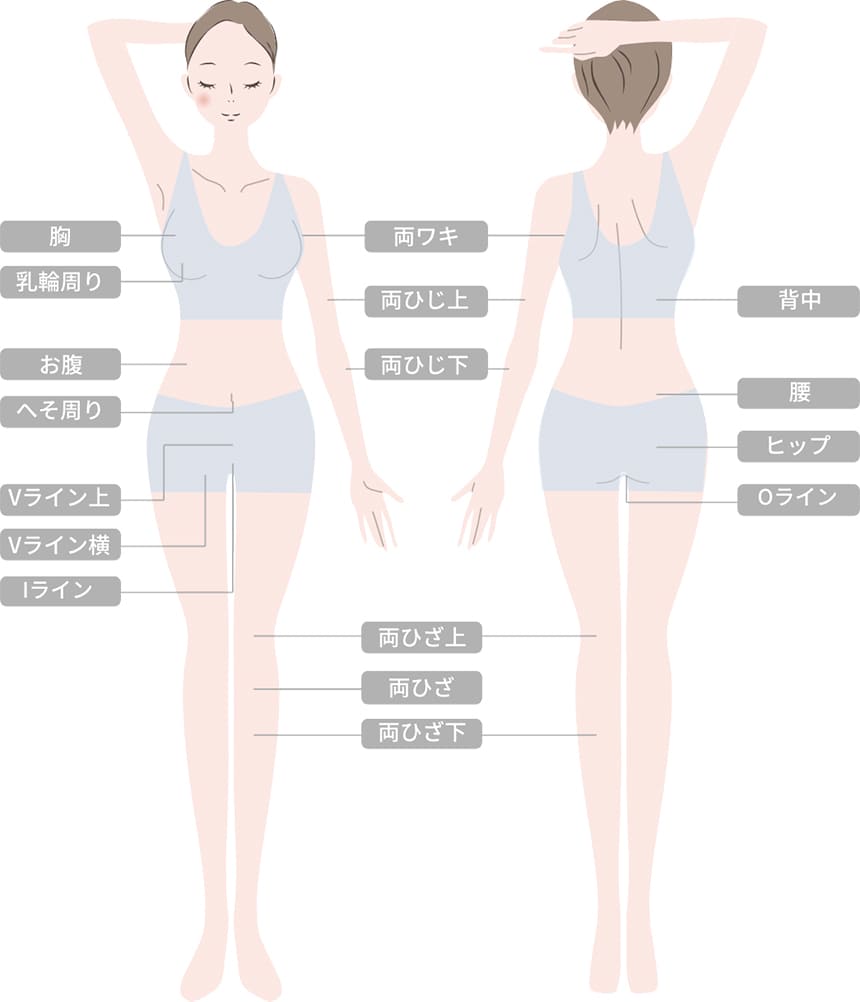 VIO＋GBC式全身医療脱毛脱毛範囲